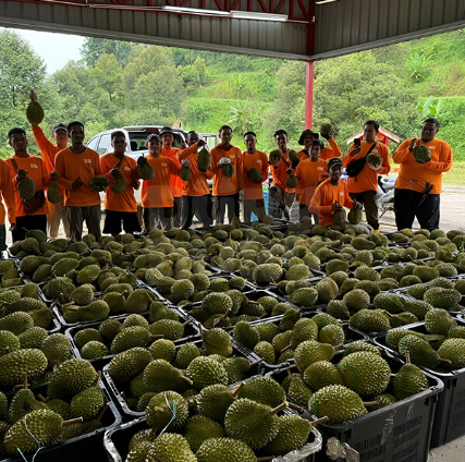 image 2025 07 28 204335461