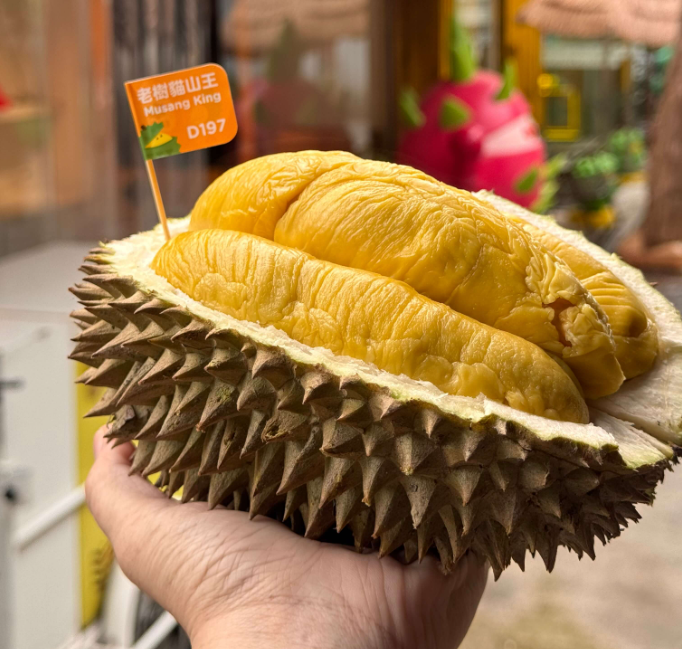Durian Musang King frais et ouvert